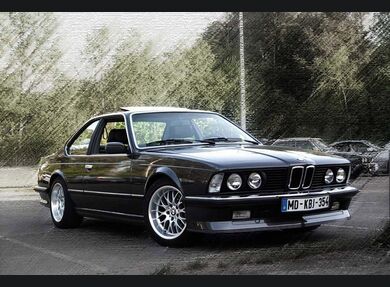 1976-1989 BMW e24 Clear Turn Signals
