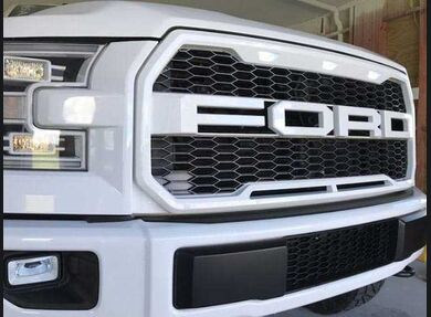 2015-2017 F-150 Raptor Clear Grill Lenses
